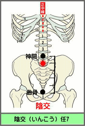 ツボ　いんこう