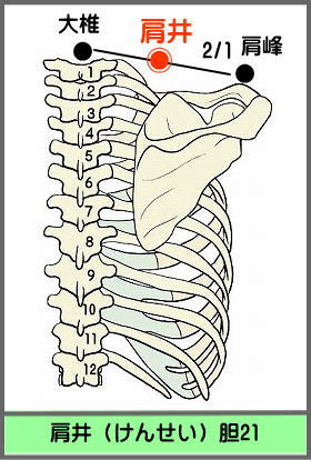 ツボ　けんせい