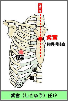 ツボ　しきゅう