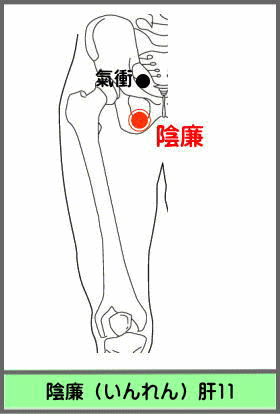 ツボ　いんれん