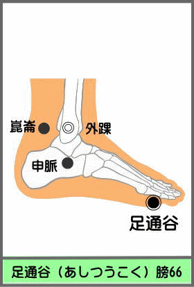 ツボ　あしつうこく