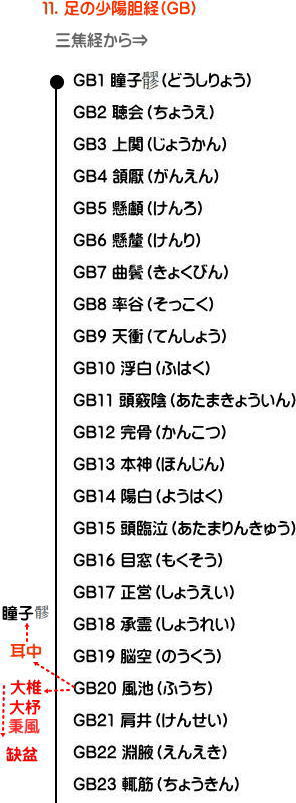 足の少陽胆経の流注地図１