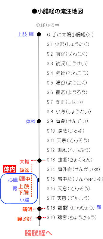 手の太陽小腸経流注地図