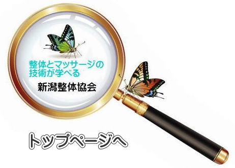 トップページへリンク