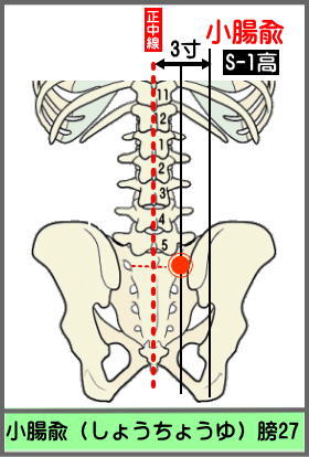 ツボ　しょうちょうゆ