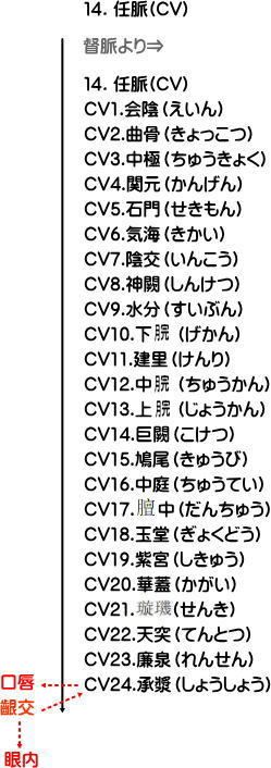 任脈の流注地図