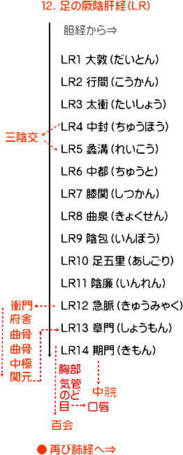 十四経発揮 足の厥陰肝経の流注地図