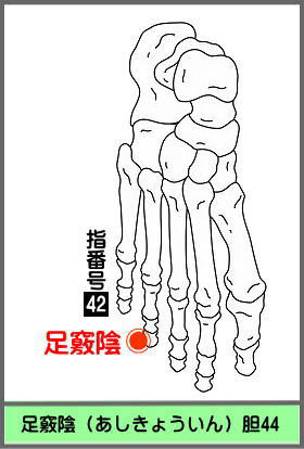 ツボ　あしきょういん