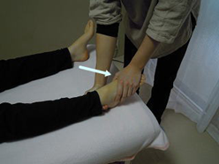 理学療法評価法 検査2