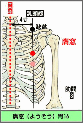 ツボ　ようそう
