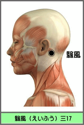 ツボ　えいふう