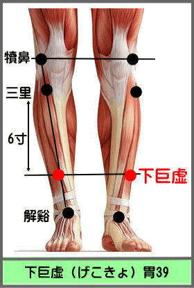 ツボ　げこきょ