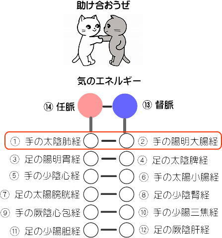 経絡図1