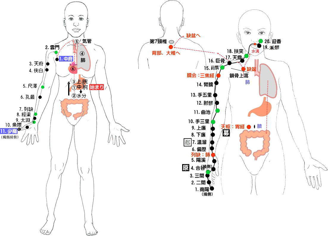 経絡図１