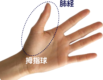 手のひらの説明