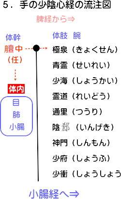 手の少陰心経の経絡図