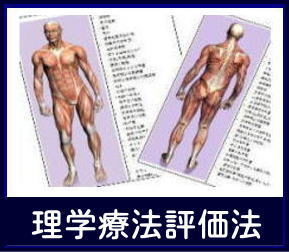 理学療法　評価法