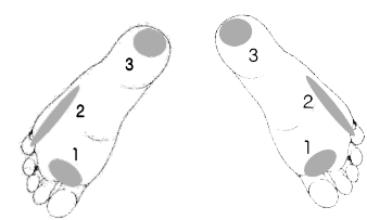 足底の観かた