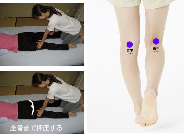 理学療法評価法 検査1