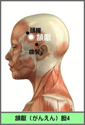 ツボ　がんえん