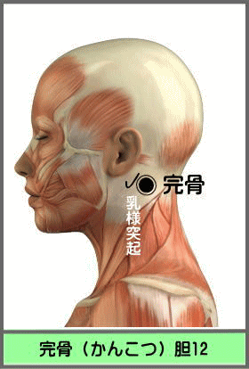 ツボ　かんこつ