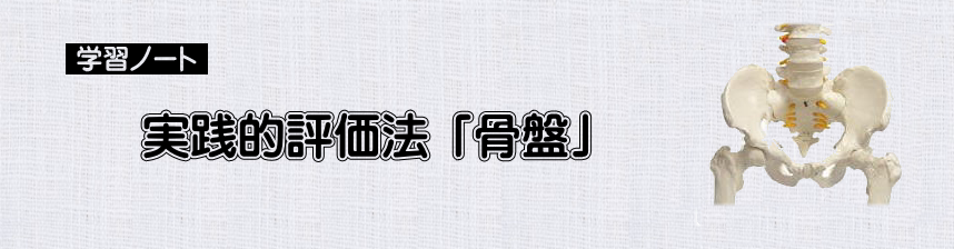 評価法　実践的評価法　「骨盤」