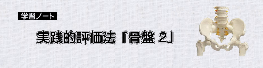 評価法　実践的評価法　「骨盤２」