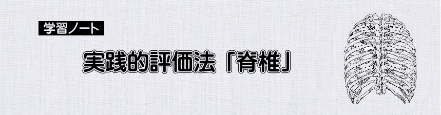 評価法　実践的評価法　「脊椎」