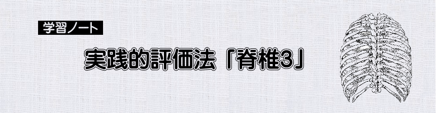 評価法　実践的評価法　「脊椎３」