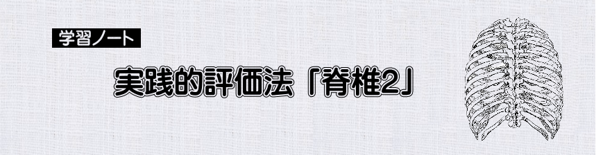 評価法　実践的評価法　「骨盤３」