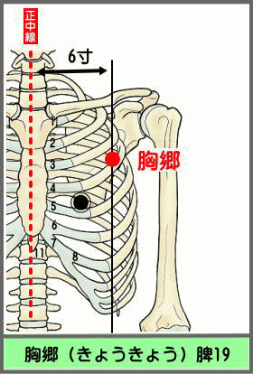ツボ　きょうきょう