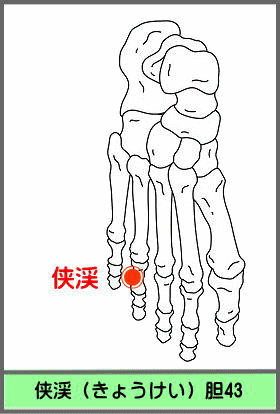 ツボ　きょうけい