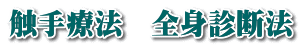 触手療法 全身診断法