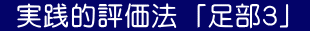 実践的評価法 「足部3」
