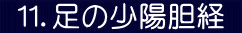  １１．足の少陽胆経 