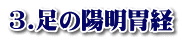 3.足の陽明胃経