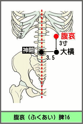 ツボ　ふくあい