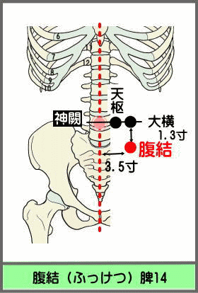 ツボ　ふっけつ