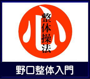 野口整体入門