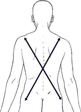 ストレッチのイラスト