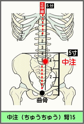 ツボ ちゅうちゅう