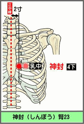 ツボ　しんぽう